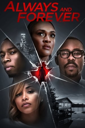 Always and Forever 2020 Hindi Dual Audio [1.1GB]