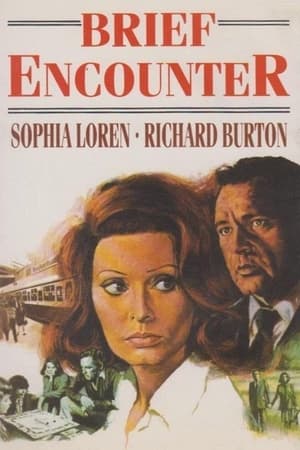 Brief Encounter 1974 Hindi Dual Audio 300MB