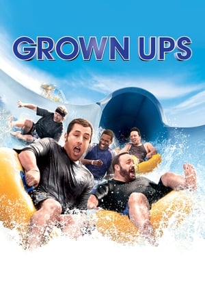 Grown Ups (2010) Hindi Dual Audio [800MB]