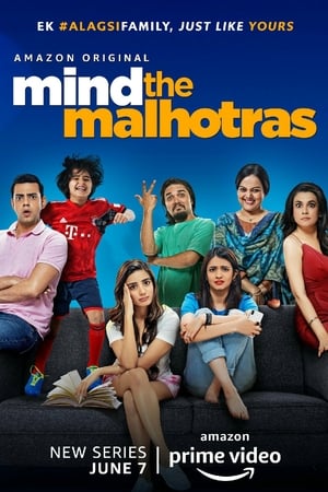 Mind the Malhotras (2019) Season 1 Hindi Web Series[Complete]