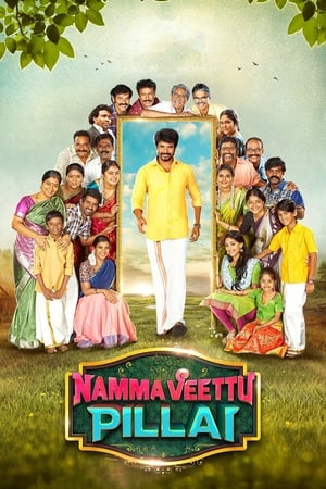 Namma Veettu Pillai (2019) (Hindi – Tamil) Dual Audio 450MB