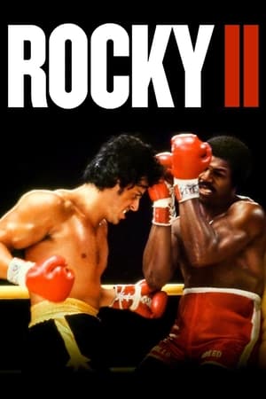 Rocky II (1979) Dual Audio Hindi 400MB