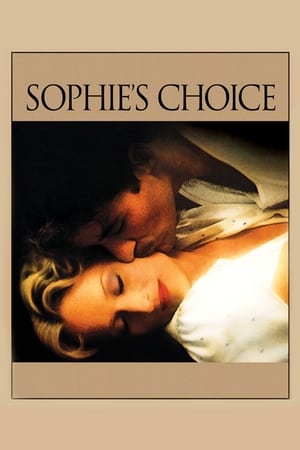 Sophie's Choice (1982) Dual Audio Hindi Full Movie - 1.1GB