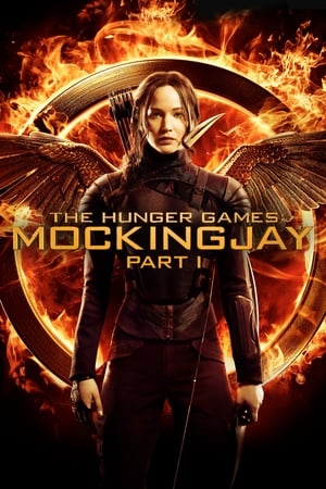 The Hunger Games: Mockingjay - Part 1 (2014) Hindi Dual Audio [1.1GB]