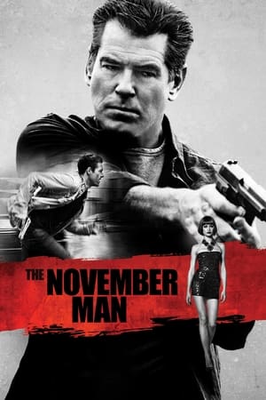 The November Man 2014 Dual Audio [Hindi – English] – 720p –