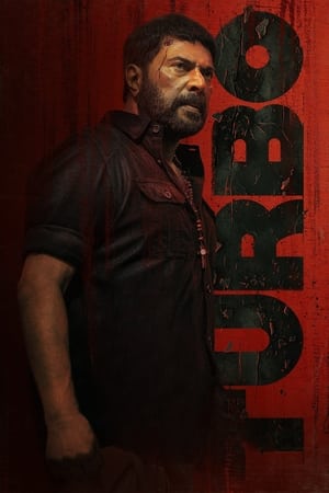 Turbo 2024 Hindi Dual Audio – 720p –