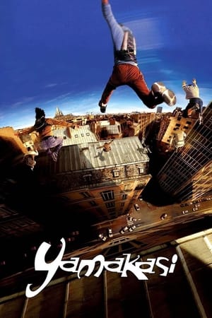Yamakasi 2001 Hindi Dual Audio 300MB